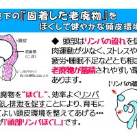 頭皮下のデトックス 頭部リンパほぐし 美容室j Walk ジェイウォーク 髪と頭皮のエイジングケア 世田谷区 梅ヶ丘 の美容院