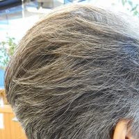 白髪のイメージ
