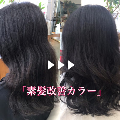 素髪改善カラー施術例