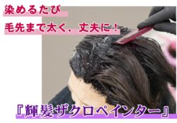 輝髪ザクロペインター