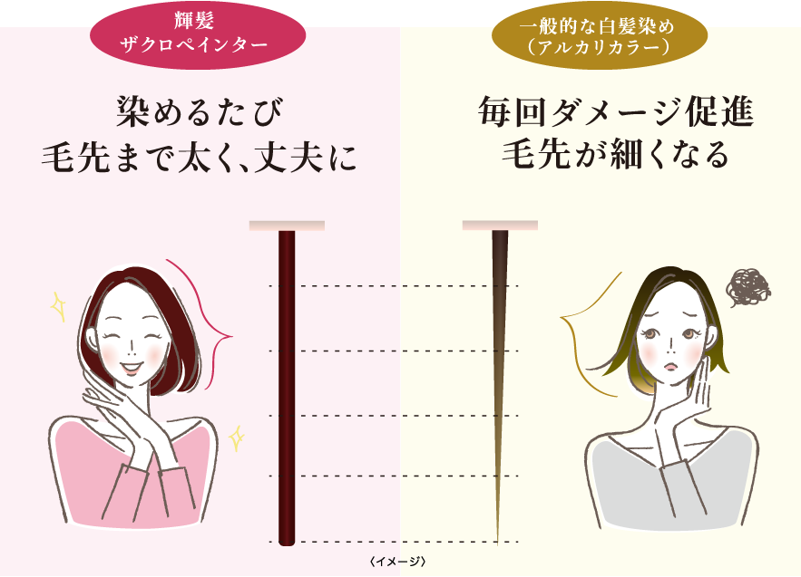 輝髪ザクロペインターの効果